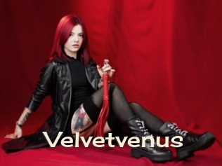 Velvetvenus