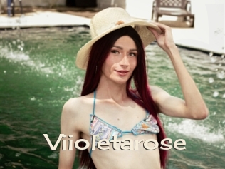 Viioletarose