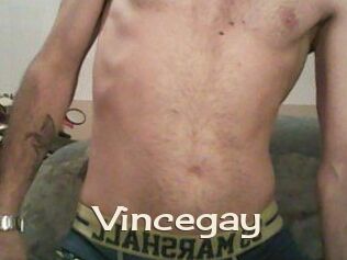 Vincegay