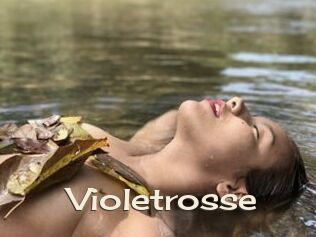 Violetrosse
