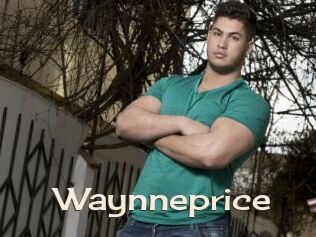 Waynneprice
