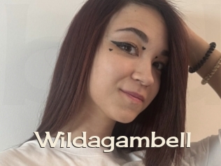 Wildagambell