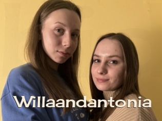 Willaandantonia