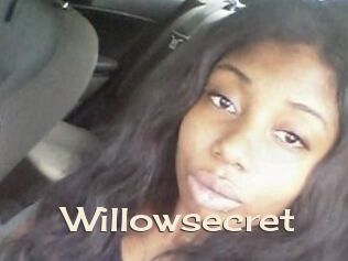 willow_secret Big Dicks Round Ass