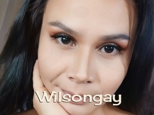 Wilsongay