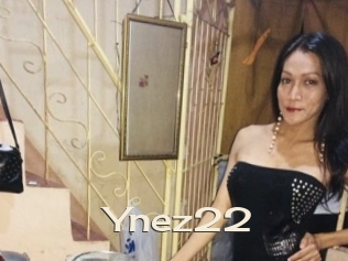 Ynez22