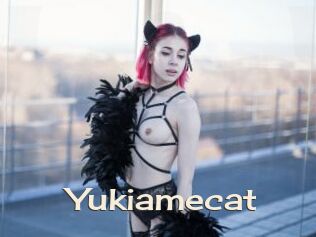 Yukiamecat