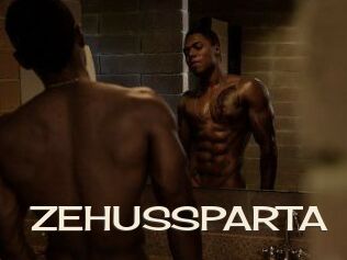 ZEHUS_SPARTA