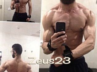 Zeus23