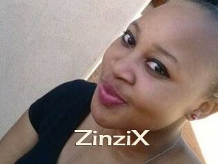 ZinziX