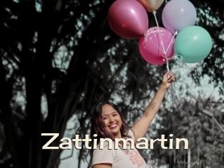 Zattinmartin