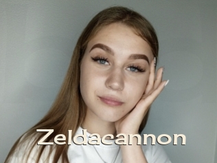 Zeldacannon